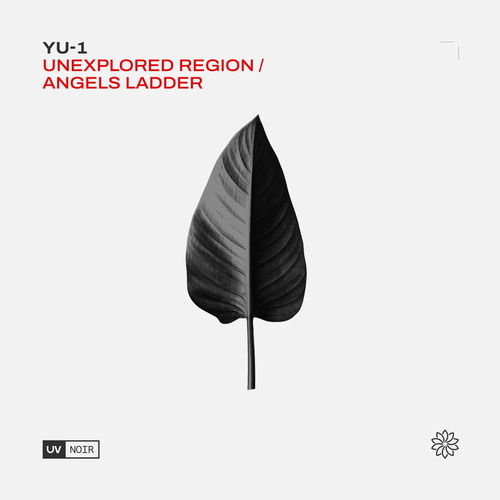 YU-1 - Unexplored Region, Angel's Ladder [UVN089]